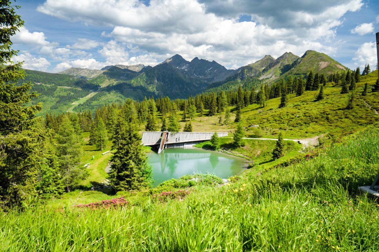 Apartman Ramsau 拉姆绍达赫斯坦 外观 照片