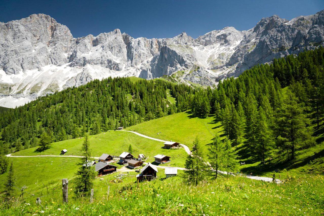 Apartman Ramsau 拉姆绍达赫斯坦 外观 照片